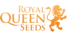Royal Queen Seeds